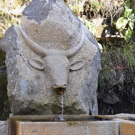 Casa Florestal, Na Branda Da Bouca Dos Homens Ferienhaus Gavieira