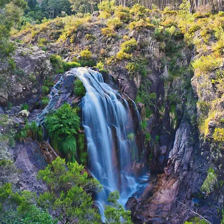 Casa Florestal, Na Branda Da Bouca Dos Homens *
