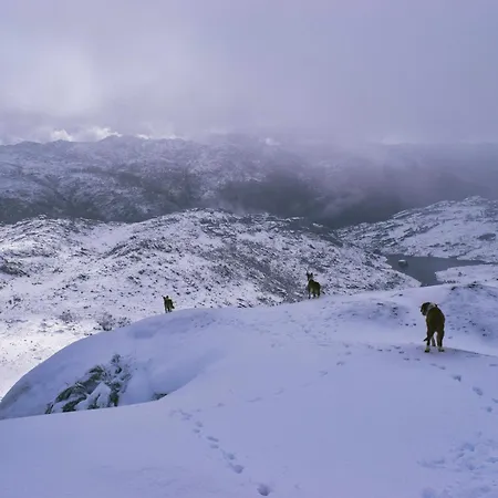 Casa Florestal, Na Branda Da Bouca Dos Homens * Gavieira