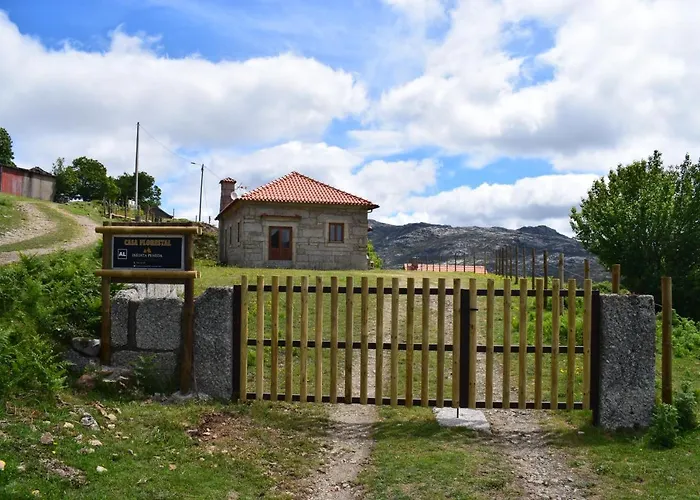 Casa Florestal, Na Branda Da Bouça Dos Homens * Gavieira