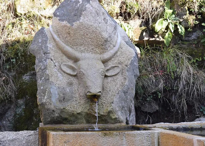 Casa Florestal, Na Branda Da Bouça Dos Homens Casa de Férias Gavieira