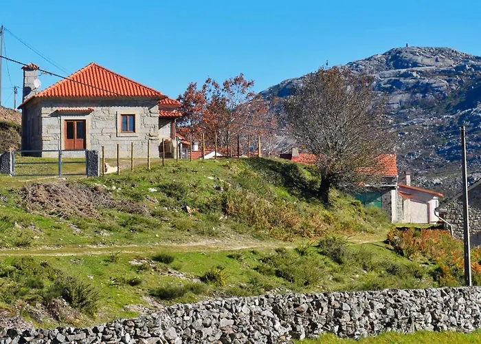 Casa Florestal, Na Branda Da Bouça Dos Homens