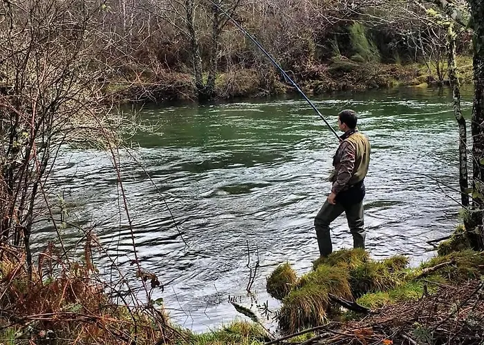 Casa Florestal, Na Branda Da Bouca Dos Homens Holiday home Gavieira