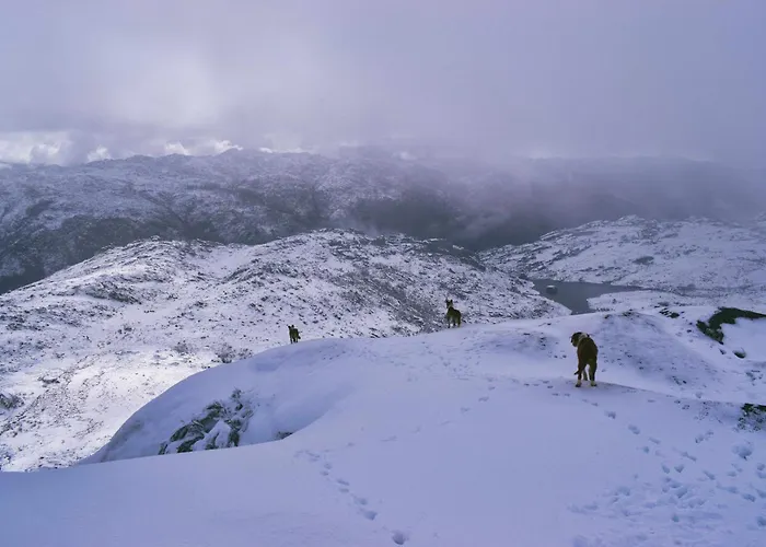 Casa Florestal, Na Branda Da Bouca Dos Homens * Gavieira